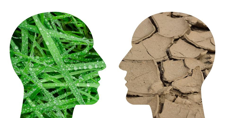 Des étudiants des îles Fidji, Kiribati, Nauru, Samoa, Tonga et Vanuatu se forment au changement climatique