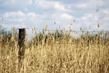 sécheresse dubbo harry meghan australie agriculteur