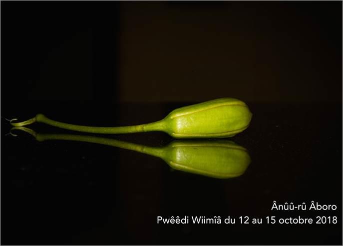 « Anûû-Rû Âborô » du vendredi 12 au lundi 15 octobre 2018 en Province Nord, Nouvelle-Calédonie