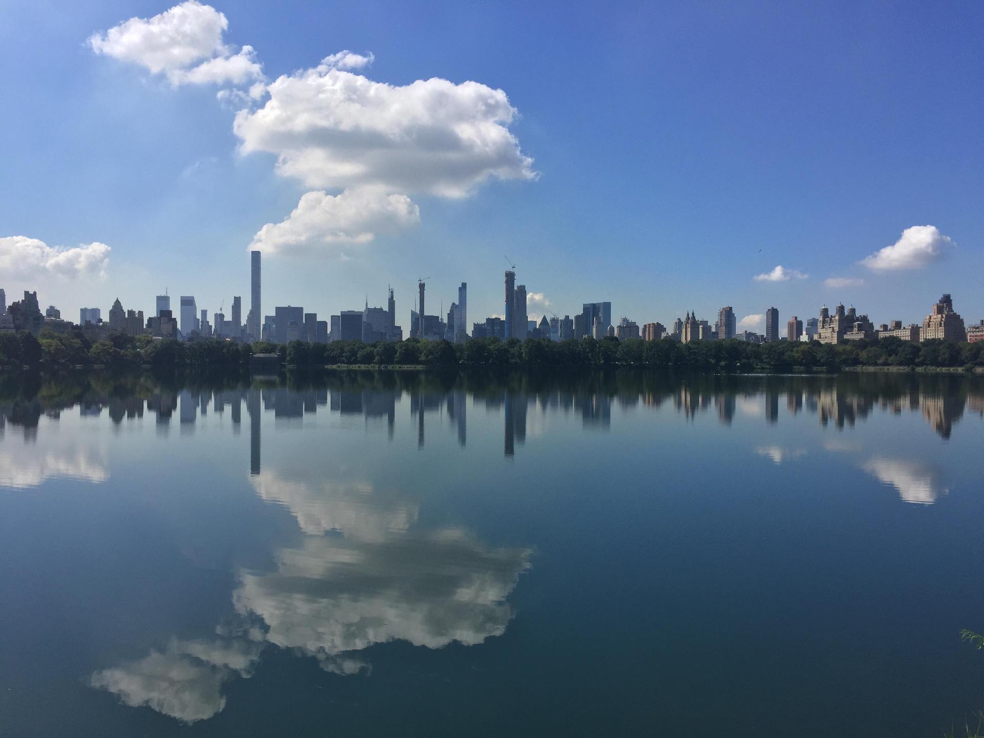 journal communauté française New York