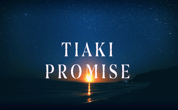 Tiaki Promise New Zealand Auckland