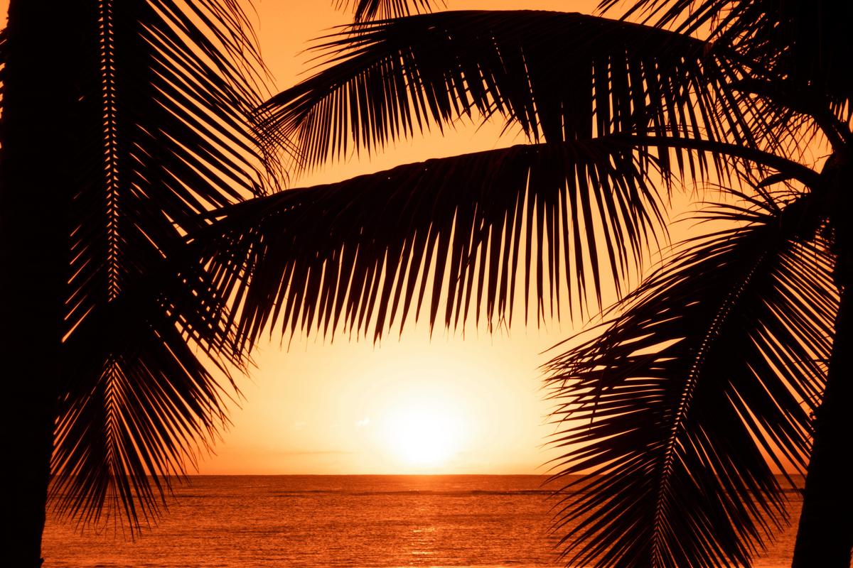 agenda janvier summer festival concert bob sinclar cinema expo