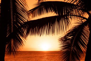 agenda janvier summer festival concert bob sinclar cinema expo