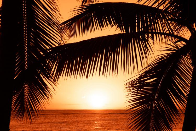 agenda janvier summer festival concert bob sinclar cinema expo