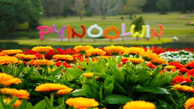 Le festival de fleurs de Pyin Oo Lwin ferme ses portes en Birmanie