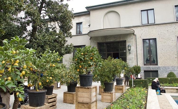 Villa Necchi Campiglio, Milano_Foto Luciano Monti_18-02-2018_(C) FAI ... (1)