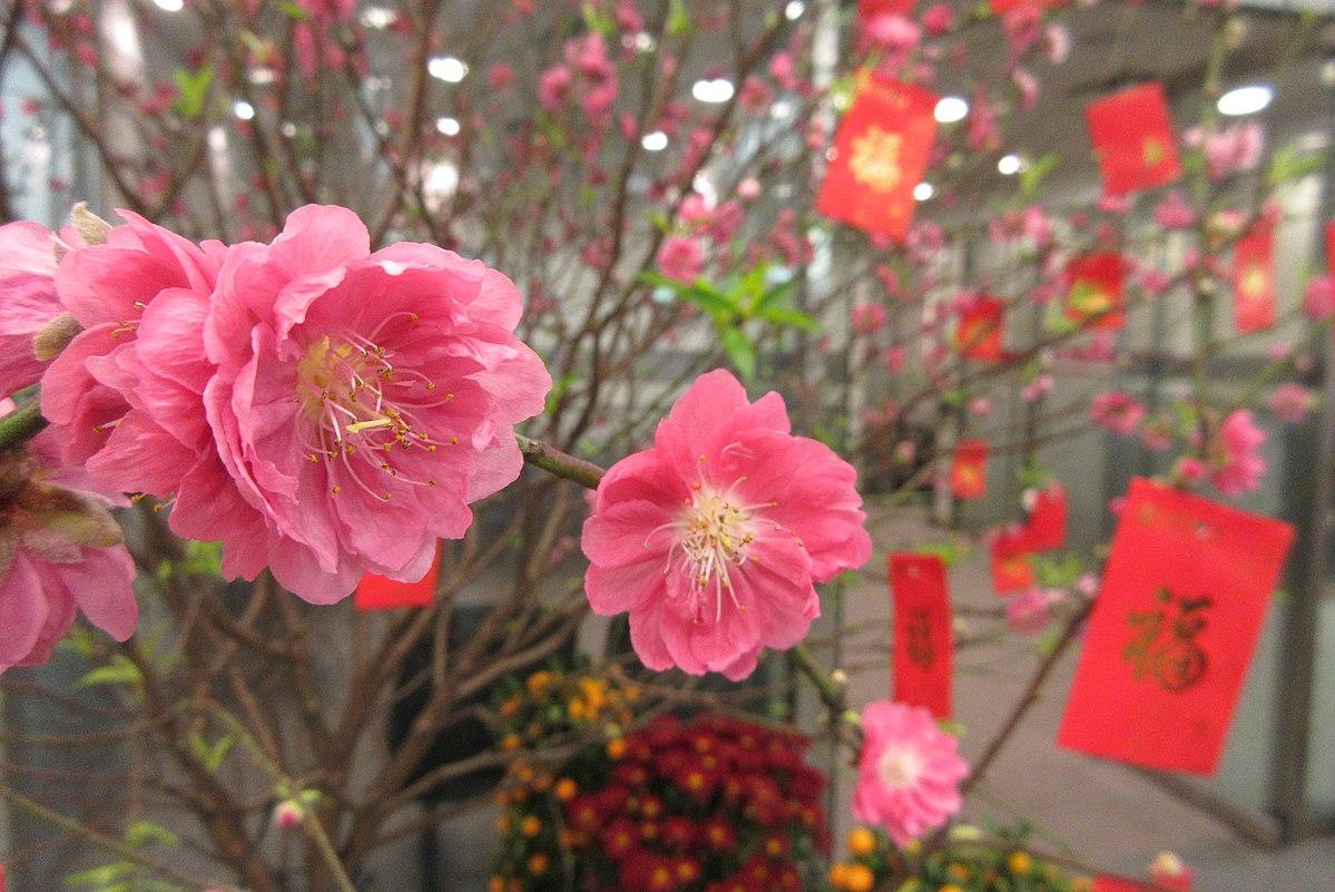 fleurs-shanghai-shopping