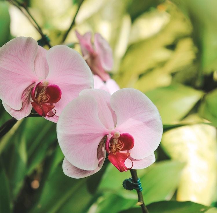 Que faire à Londres ce week-end 8 idées de sorties