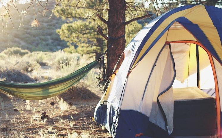 free camp auckland nouvelle zélande