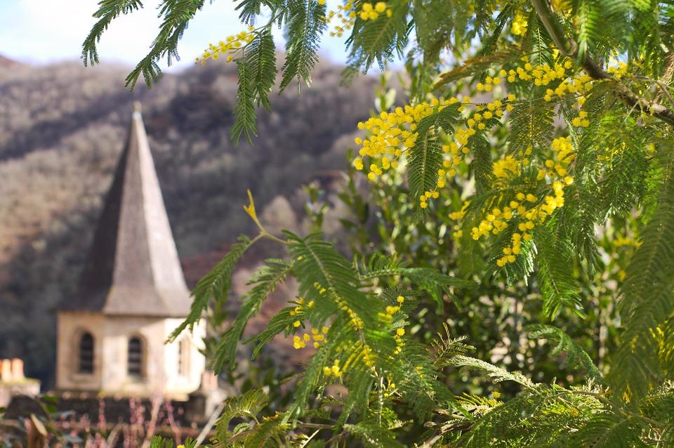 liens culturels France Australie