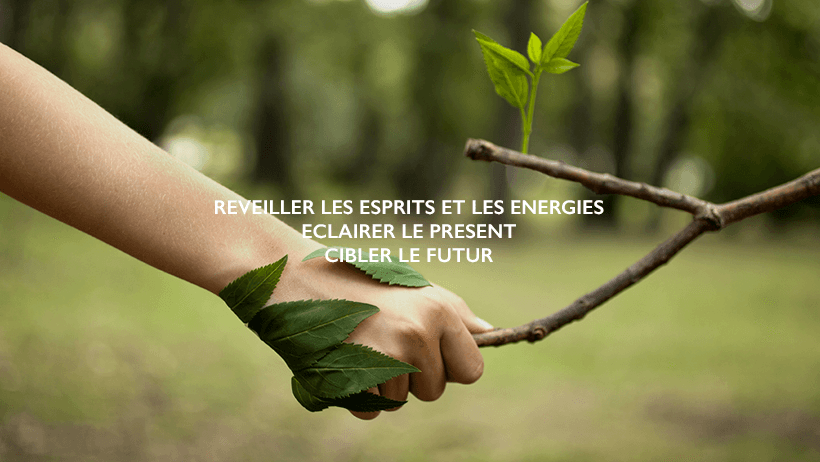 20376107_882478685233027_100427301045405228_n