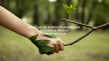 20376107_882478685233027_100427301045405228_n