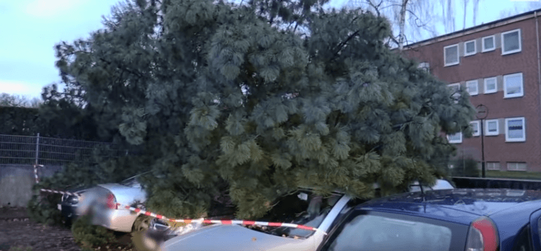 METEO – La tempête « Bennet » souffle sur le défilé du Rosenmontag