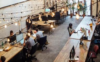 Coworking Space Auckland Nouvelle-Zélande