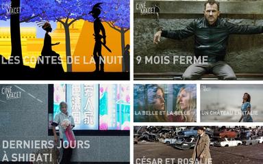 IFI cinema programmation culture