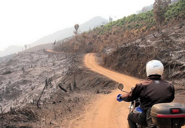 L’aventure à moto pour deux Birmans