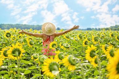 Sunflowers girl happy Pixabay
