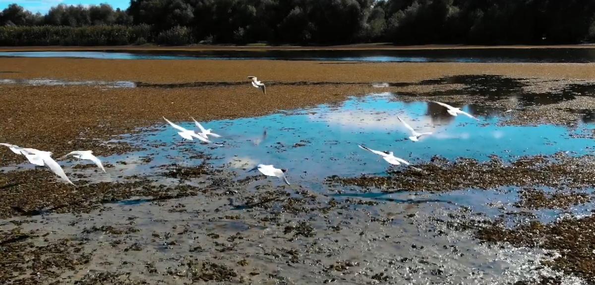 Tourism promotion video 2019 print screen