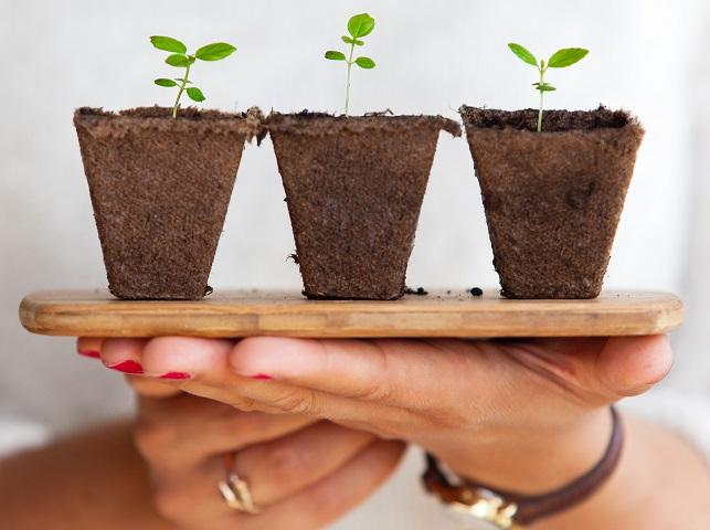 daniel-hjalmarsson-269425-unsplash