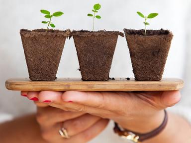 daniel-hjalmarsson-269425-unsplash