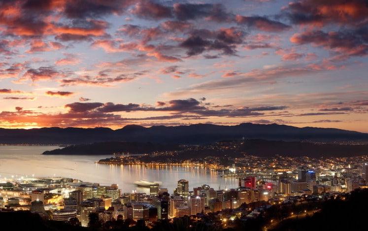 free week wellington