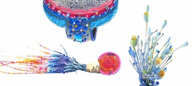 19105523_762034187309748_369319996171957510_n