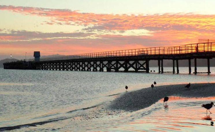 Petone beach and wharf Wellington Nouvelle-Zélande