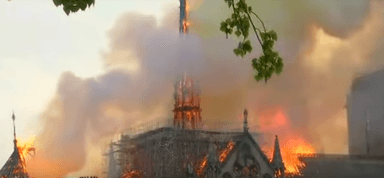 Allemagne soutien France Notre-Dame