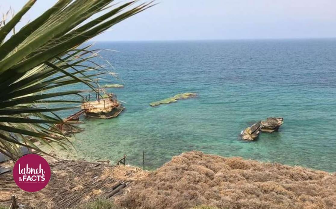 Batroun tourisme Liban Beyrouth Labneh&facts