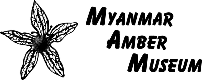 Le musée de l’ambre à Yangon a ouvert ses portes en Birmanie