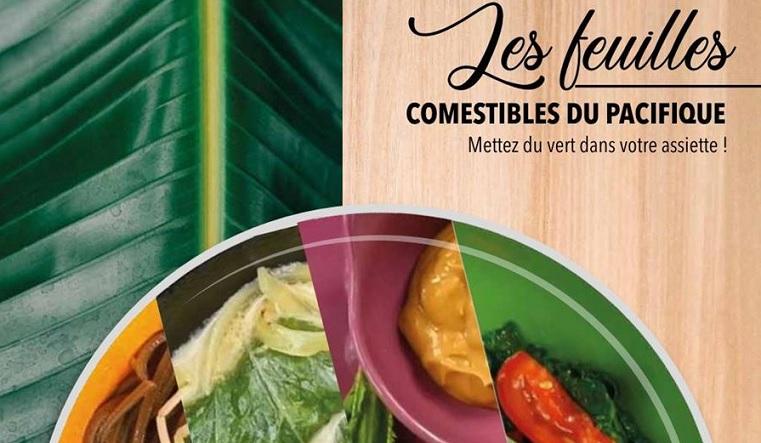 Commission du Pacifique Sud Nouvelle-Calédonie Nouméa