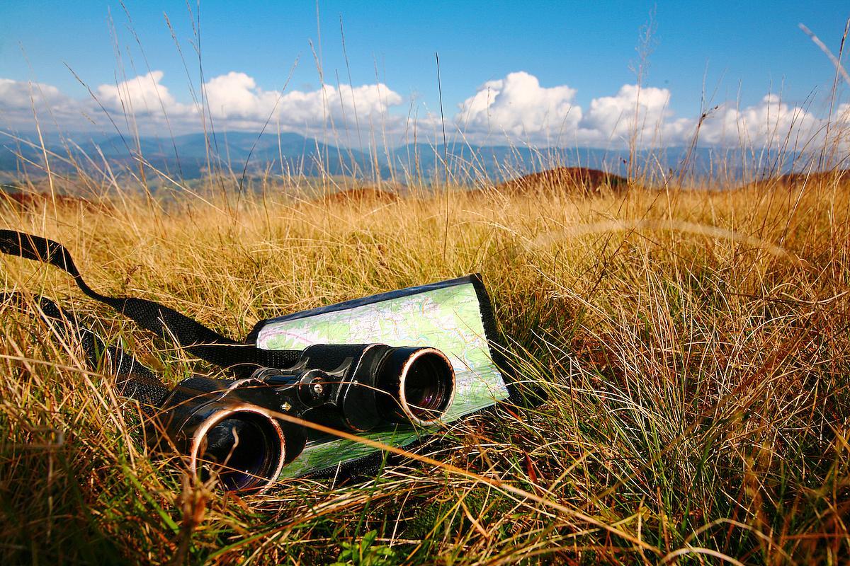 animaux sauvages roumanie