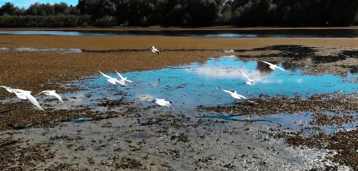 tourisme vidéo promotion 16 langues Roumanie