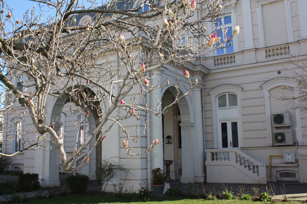 histoire d'un lieu ambassade de france roumanie