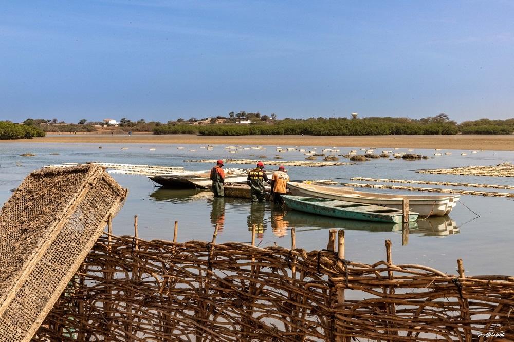 revue de presse senegal fredphoto94