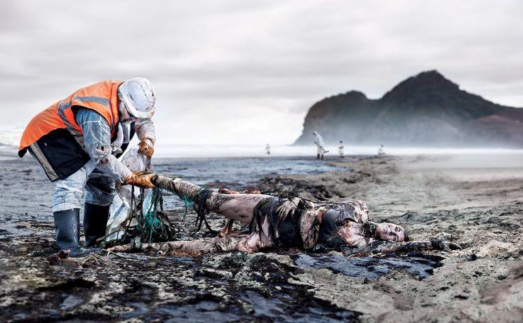 Que faire à Auckland