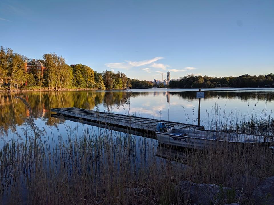 stockholm brunnsviken hagaparken
