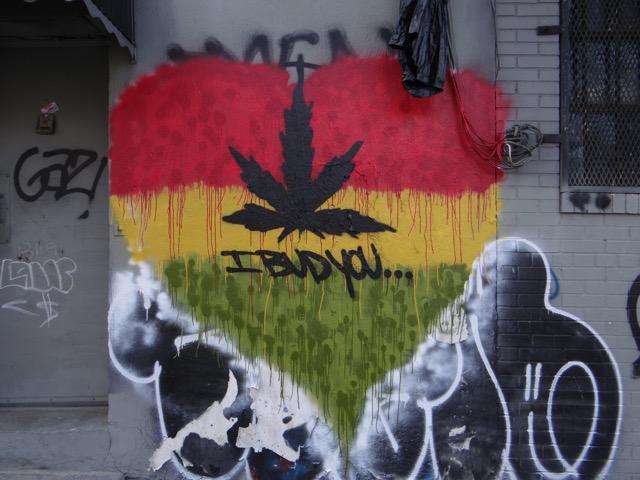 Cannabis New York
