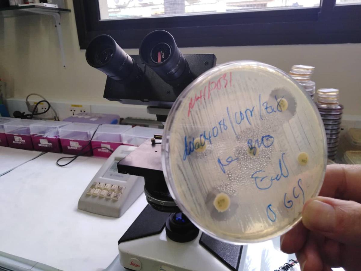 antibiotiques institut pasteur cambodge