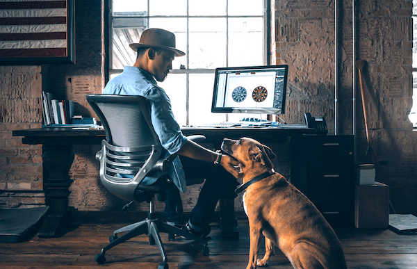 bring your dig to work day