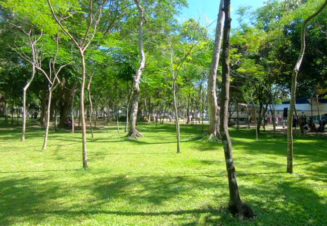 Les espaces verts en déclin à Yangon