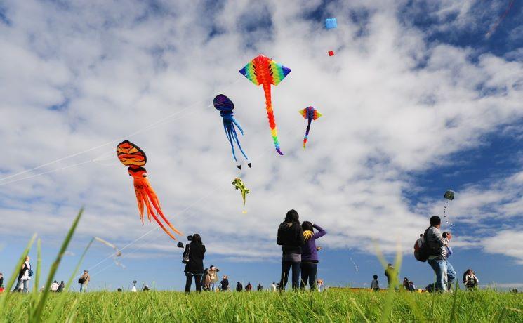 Que faire à Auckland