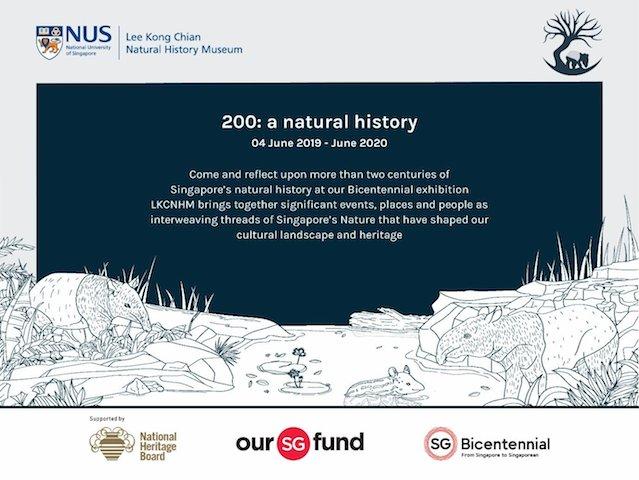 Exposition, Musée d'histoire naturelle, Natural History, Singapore