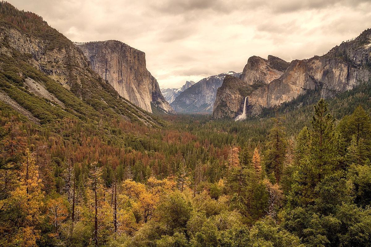 yosemite parc national roumain meurt d'une chute
