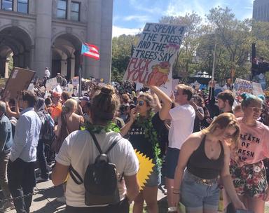Climate Strike New York