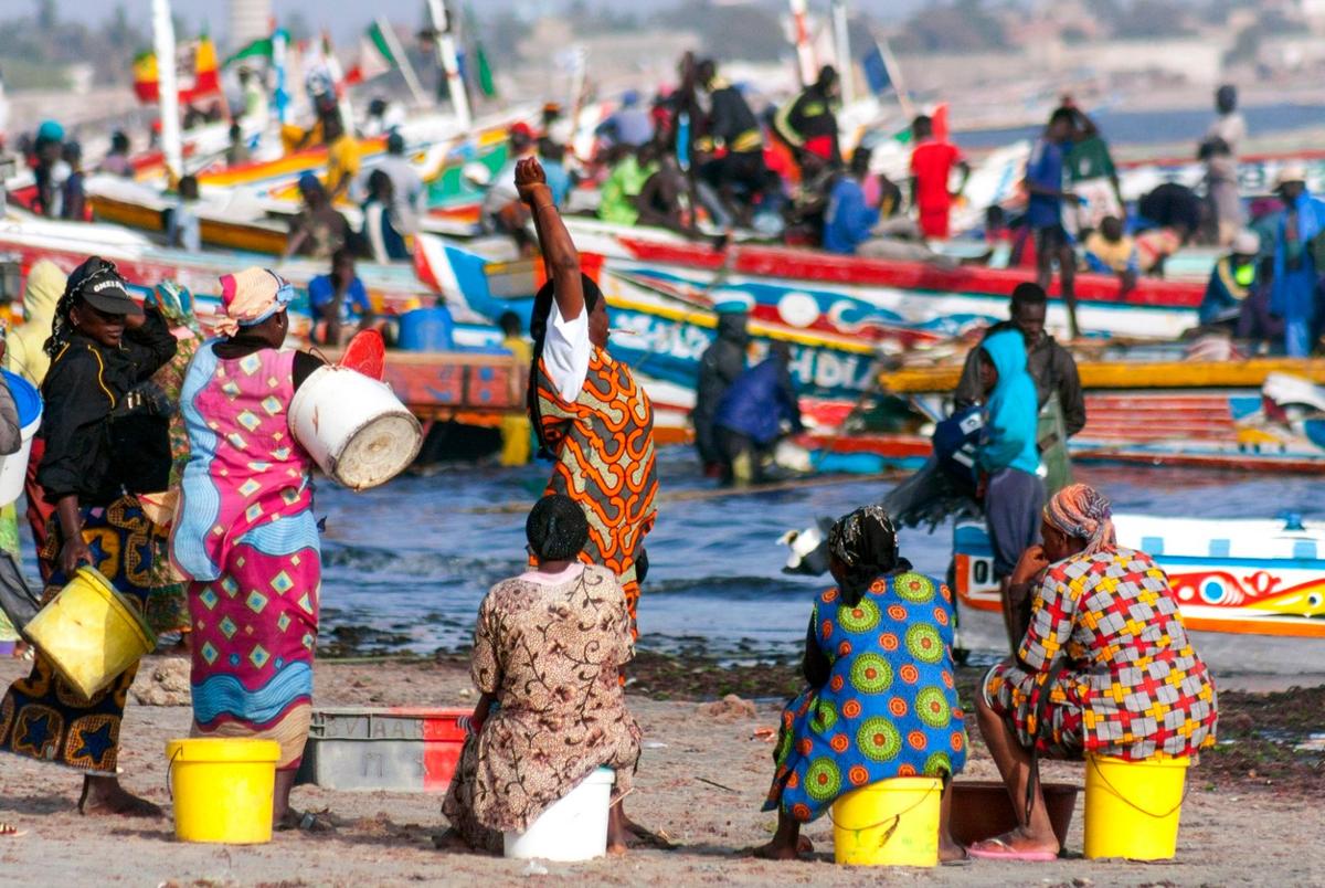 vendeuse de poissons mbour thies dakar