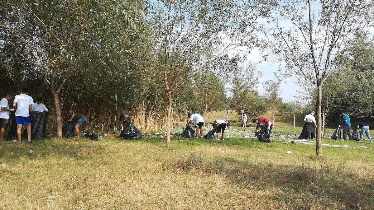 Let’s Do It association envirronement journée mondiale du nettoyage roumanie