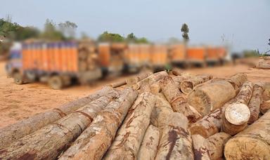 industrie du bois en Birmanie