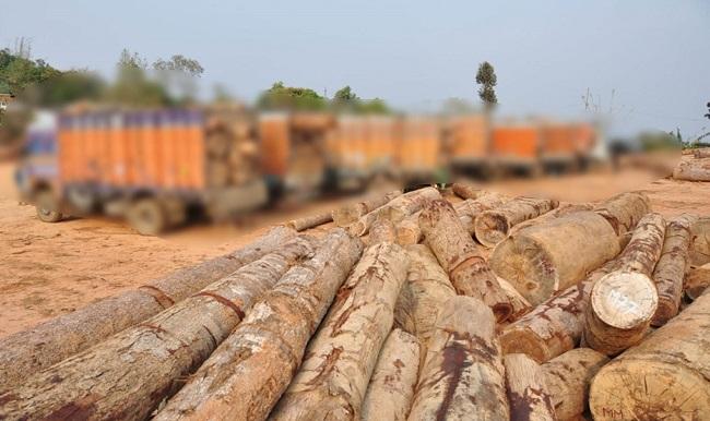industrie du bois en Birmanie