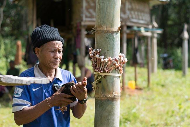rituel des os de poulet en pays Karenni en BIrmanie